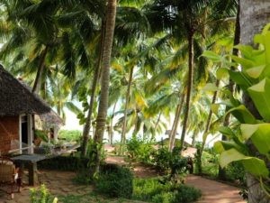 Wunderschöne Gartenhütten im Schatten der Kokospalmen direkt am Meer.