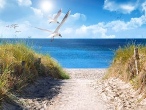 Tantraseminar an der Nordsee, geniesse in seminarfreien Zeiten den Strand, die Sonne und Spaziergänge am Meer.