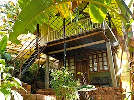 Gönne dir ein Erlebnis im Baumhaus, eingebunden in tropische Natur.